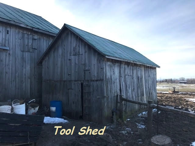 Tool Shed - Walden's Cabin